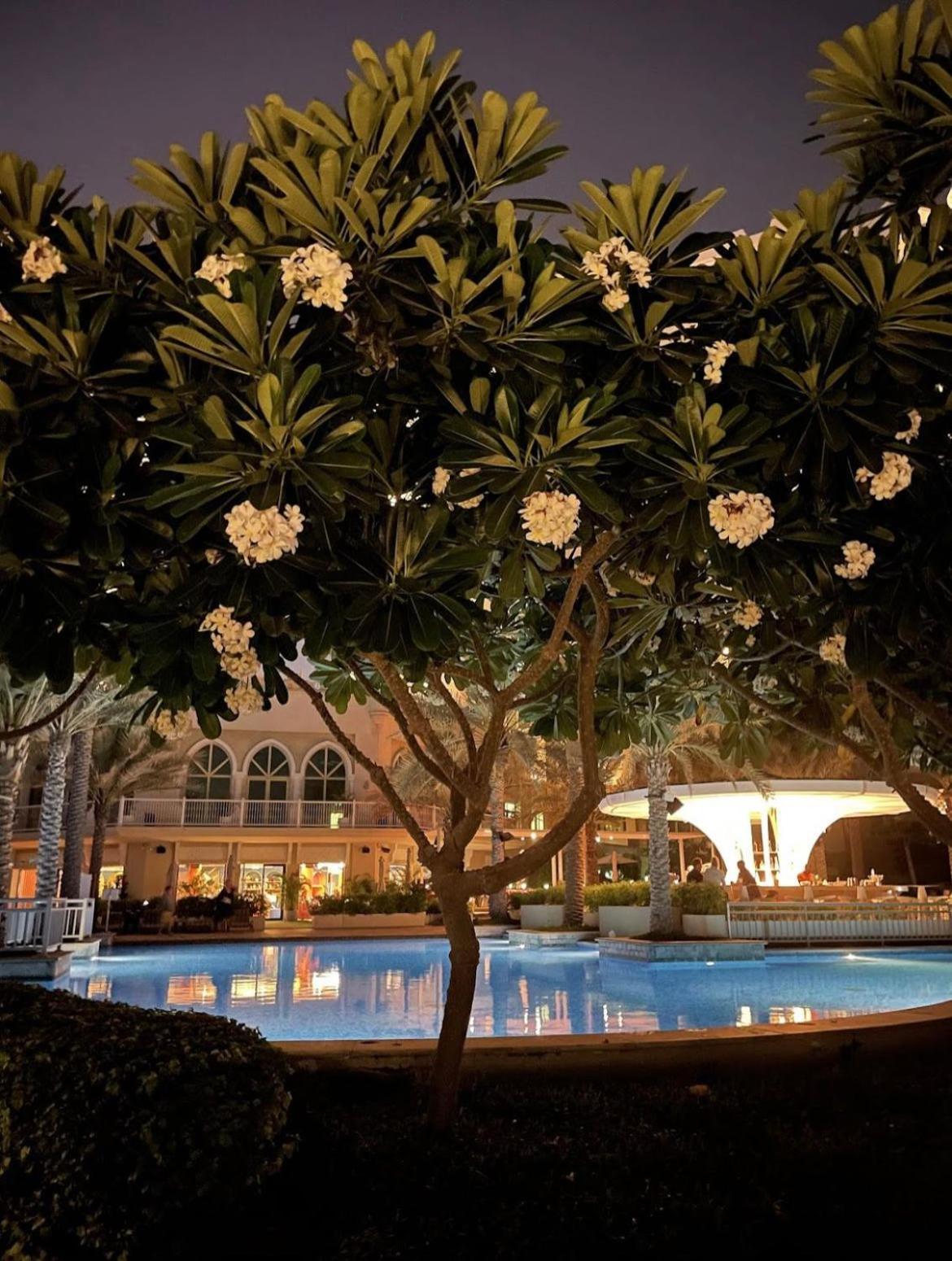 Lux Living On Palm Jumeirah With Pool & Access *
